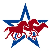 Irving Young Republicans chapter crest